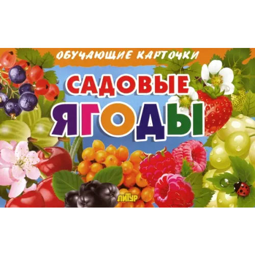 Литур Комплект карточек. Садовые ягоды
