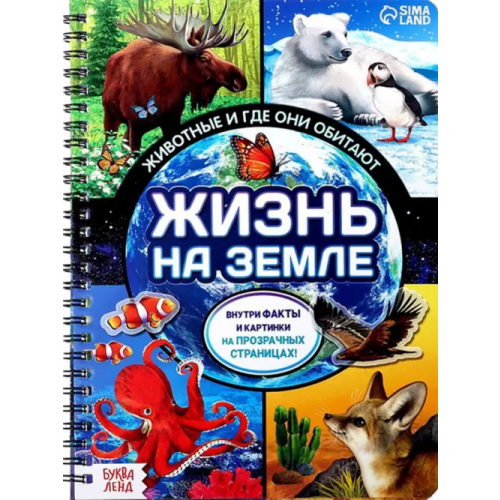 Буква-ленд Жизнь на земле. Животные и где они обитают