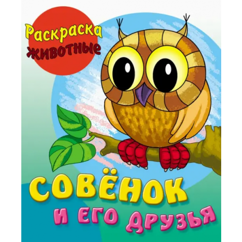 Книжный дом Совенок и его друзья