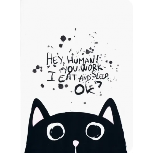 BeSmart Блокнот Hey human. Кот, 32 листа, клетка