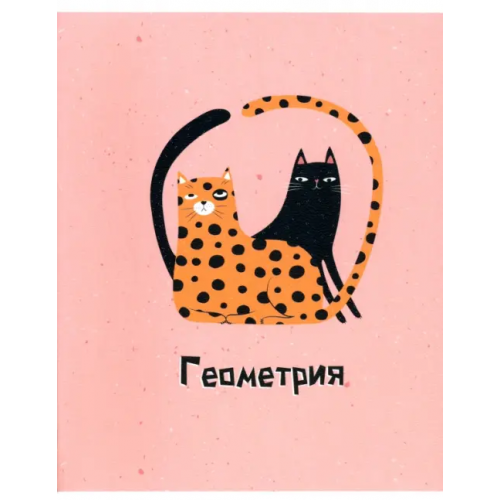 BeSmart Тетрадь предметная. Silly. Геометрия