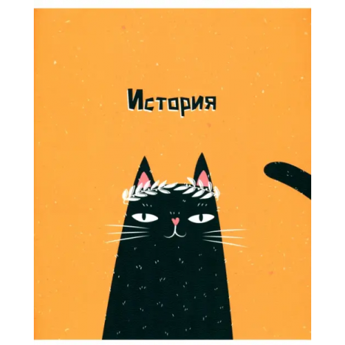 BeSmart Тетрадь предметная. Silly. История