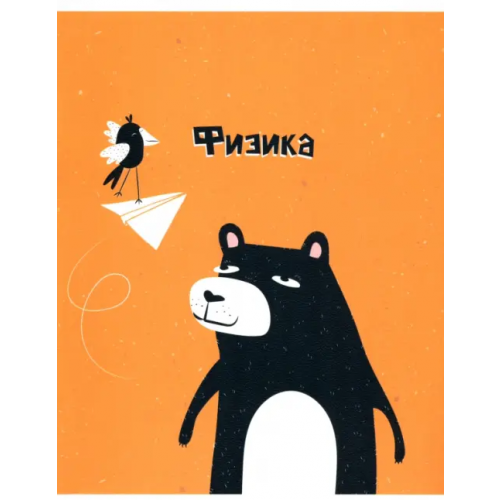 BeSmart Тетрадь предметная. Silly. Физика