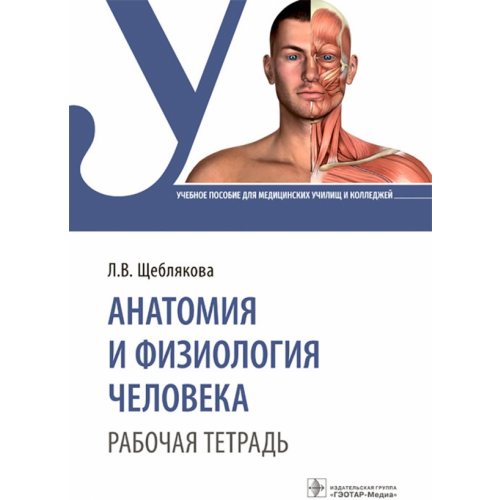 ГЭОТАР-Медиа Анатомия и физиология человека. Рабочая тетрадь. Учебное пособие Щеблякова Лада Викторовна