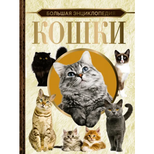 АСТ Большая энциклопедия. Кошки Смирнов Дмитрий Сергеевич