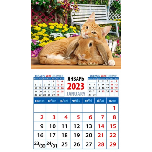 День за днём Календарь на 2023 год. Год кота и кролика. Настоящие друзья