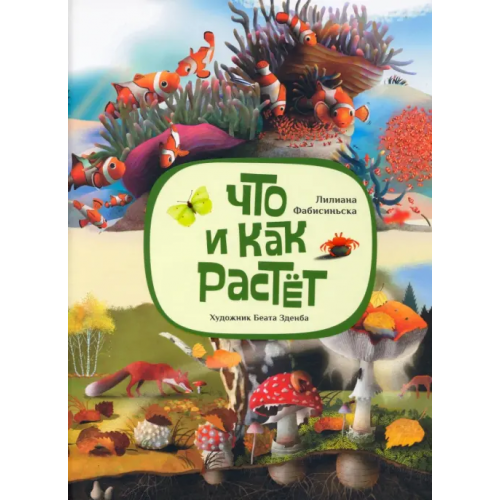 Попурри Что и как растёт Фабисинская Лилиана