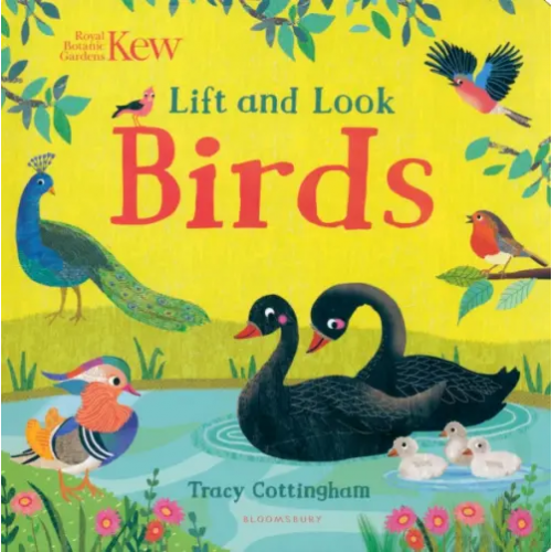 Bloomsbury Kew. Lift and Look Birds Cottingham Tracy