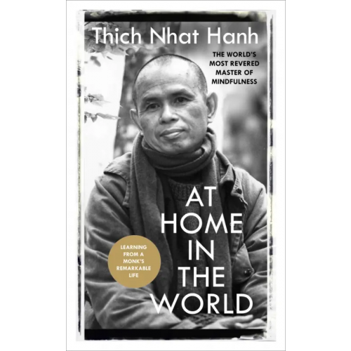 Rider At Home In The World. Lessons from a remarkable life Тит Нат Хан
