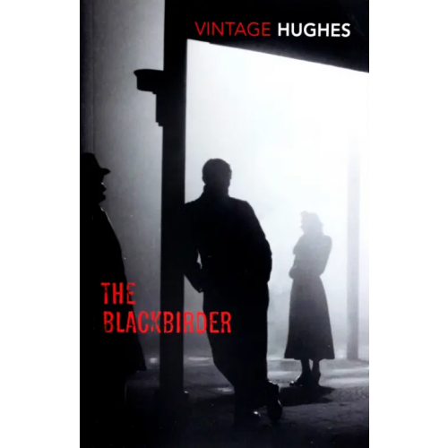 Vintage books The Blackbirder Hughes Dorothy B