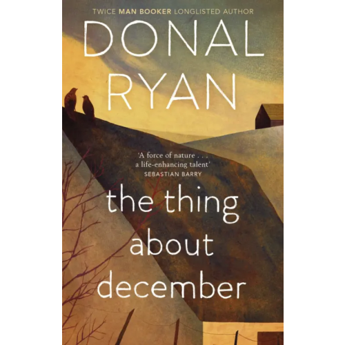 Black Swan The Thing About December Ryan Donal