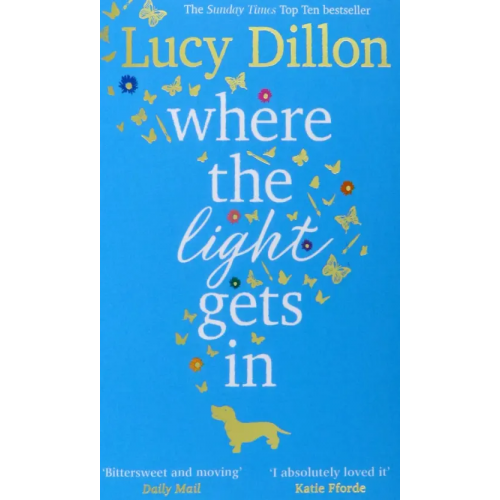 Black Swan Where the Light Gets In Dillon Lucy