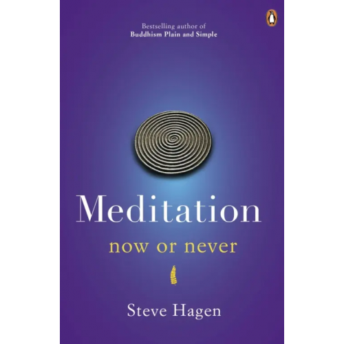 Penguin Meditation now or never Hagen Steve