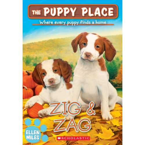 Scholastic Inc Zig & Zag Miles Ellen