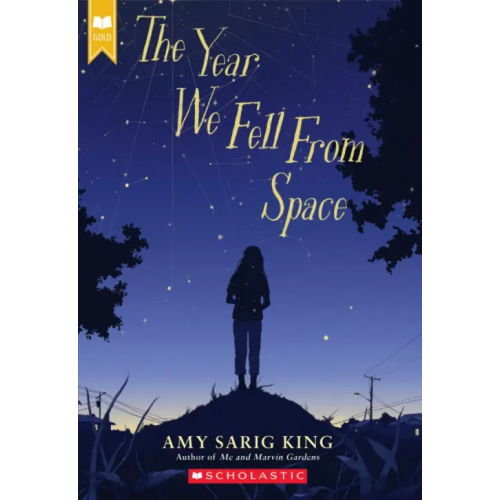 Scholastic Inc The Year We Fell from Space King Amy Sarig