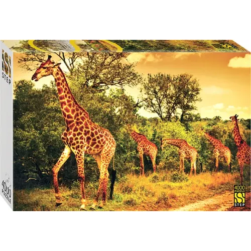Степ Пазл Puzzle-4000 Южноафриканские жирафы