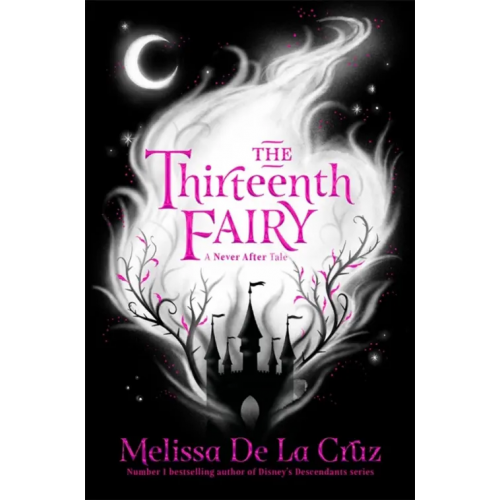 Macmillan Children's Books The Thirteenth Fairy de la Cruz Melissa