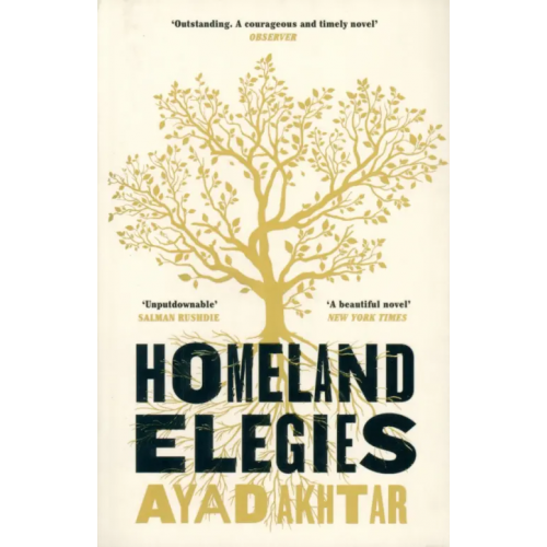 Tinder Press Homeland Elegies Akhtar Ayad