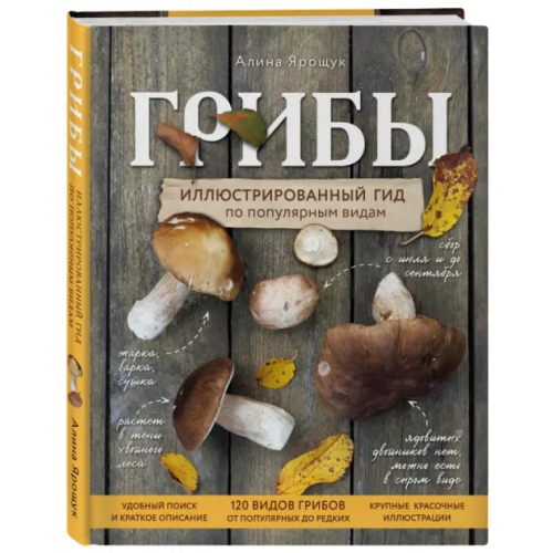 Эксмо Грибы. Иллюстрированный гид по популярным видам Ярощук Алина Игоревна