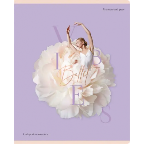 BG Тетрадь Ballet, 96 листов, линия, в ассортименте