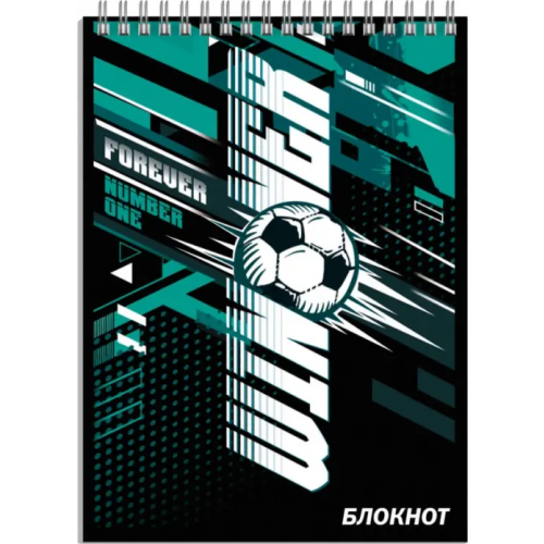Феникс+ Блокнот Победитель, 40 листов, А7, клетка