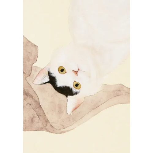 Шанс Котик по кличке Миндаль 1, 32 листа