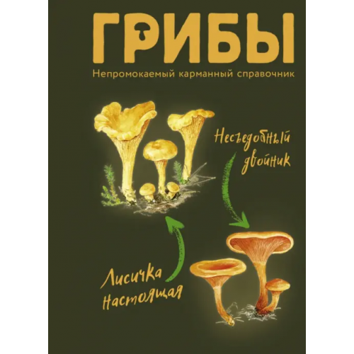 АСТ Грибы. Непромокаемый карманный справочник Сергеева Мария Николаевна