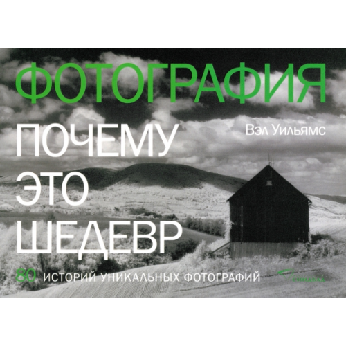Синдбад Фотография. Почему это шедевр. 80 историй великих произведений Уильямс Вэл