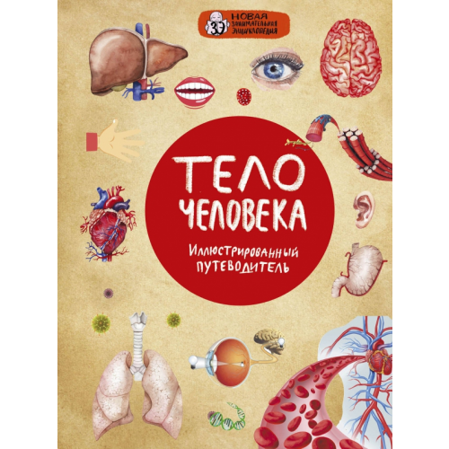 Эксмо Тело человека Лукашанец Дмитрий Александрович