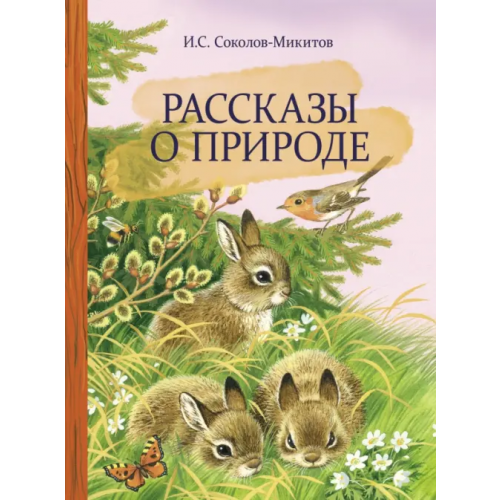 Стрекоза Рассказы о природе Соколов-Микитов Иван Сергеевич