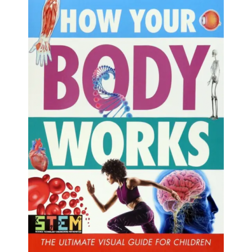 Arcturus How Your Body Works. The Ultimate Visual Guide for Children
