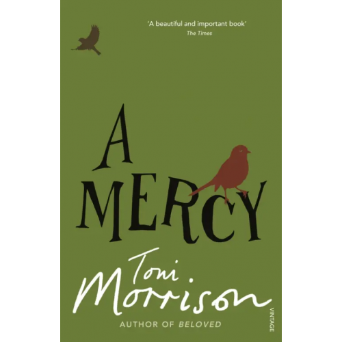 Vintage books A Mercy Morrison Toni
