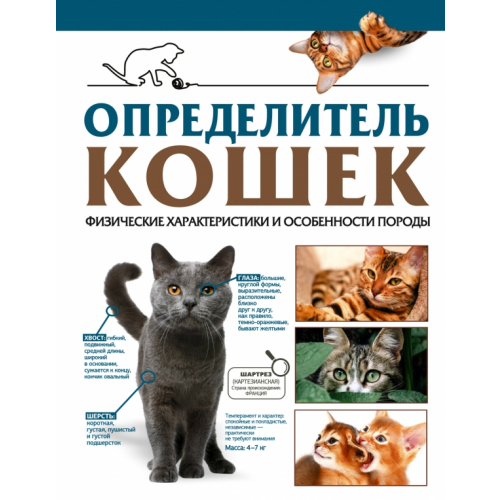 АСТ Определитель кошек. Физические характеристики и особенности породы Спектор Анна Артуровна, Смирнов Дмитрий Сергеевич