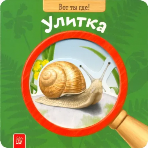 Лабиринт Пресс Вот ты где! Улитка