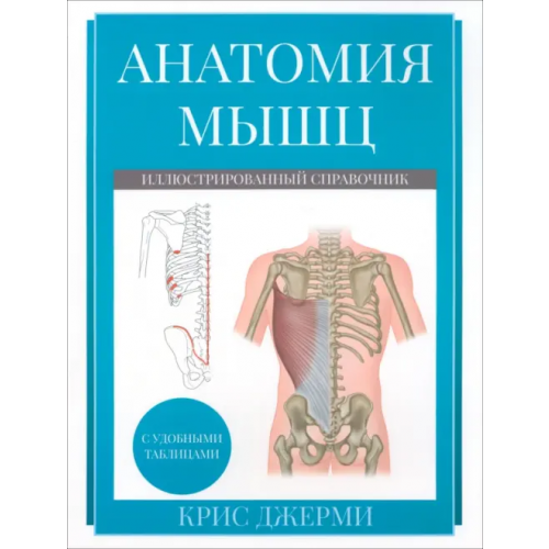 Попурри Анатомия мышц. Иллюстрированный справочник Джерми Крис