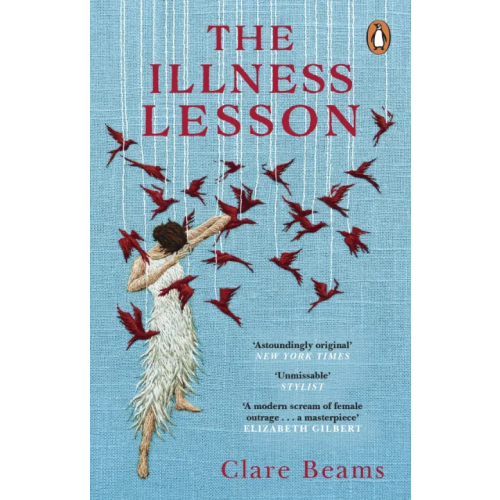 Doubleday The Illness Lesson Beams Clare