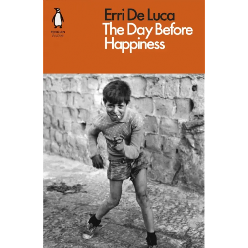 Penguin The Day Before Happiness De Luca Erri