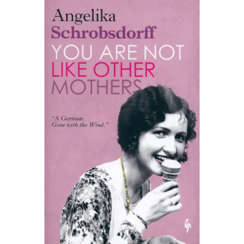 Europa Editions You Are Not Like Other Mothers Schrobsdorff Angelika