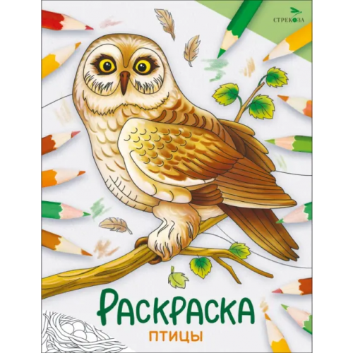 Стрекоза Окружающий мир. Раскраска. Птицы