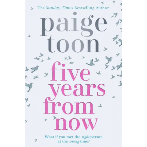 Simon & Schuster Five Years From Now Toon Paige