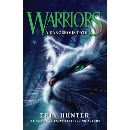 Harpercollins A Dangerous Path Hunter Erin