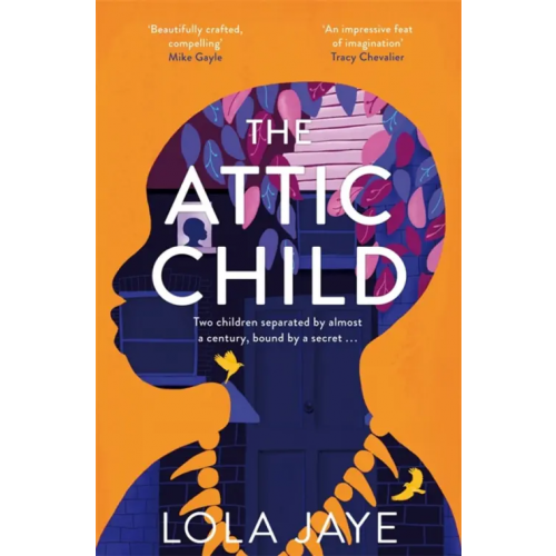 Pan Books The Attic Child Jaye Lola