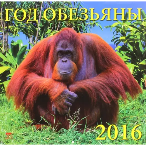 День за днём Календарь настенный на 2016 год. Год обезьяны