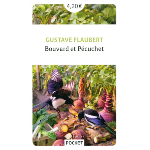 Pocket Livre Bouvard et Pecuchet Flaubert Gustave