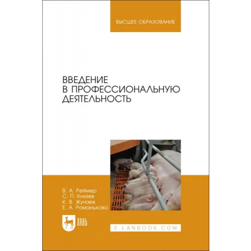Лань Введение в профессиональную деятельность. Учебник для вузов Реймер Вячеслав Александрович, Князев Сергей Павлович, Жучаев Константин Васильевич