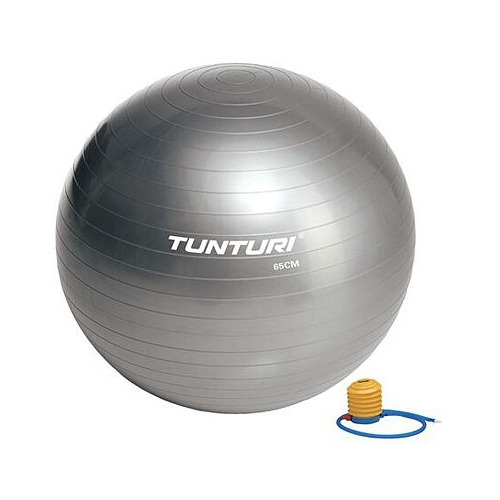 Фитбол Tunturi Gymball ф.:круглый d=65см серый/белый (14TUSFU278)