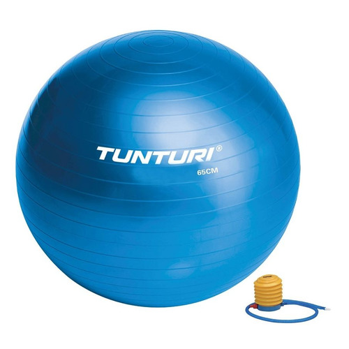 Фитбол Tunturi Gymball ф.:круглый d=65см синий/белый (14TUSFU135)