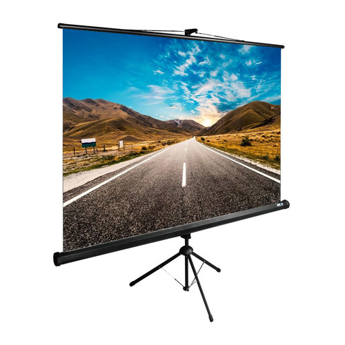 Экран Cactus TriExpert CS-PSTE-160x160-BK, 160х160 см, 1:1, напольный черный