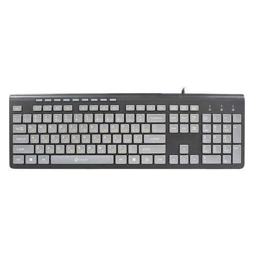 Клавиатура Oklick 480M, USB, черный серый [1067199]
