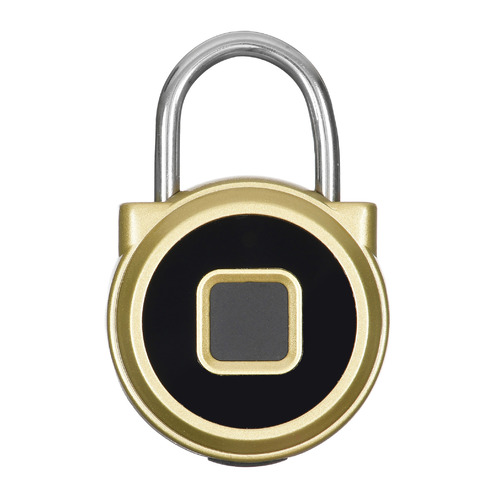 Умный замок Digma SmartLock R1, навесной, золотистый